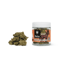 Solis Flower 3.5g Hybrid Mula De Carga