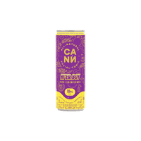 CANN Hi'er Boys Yuz Elderflower 4pk