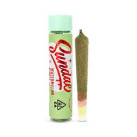 Sundae Infused Preroll 2g Indica Watermelon Runtz