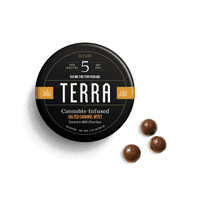 Terra Bites Milk Chocolate Salted Caramel