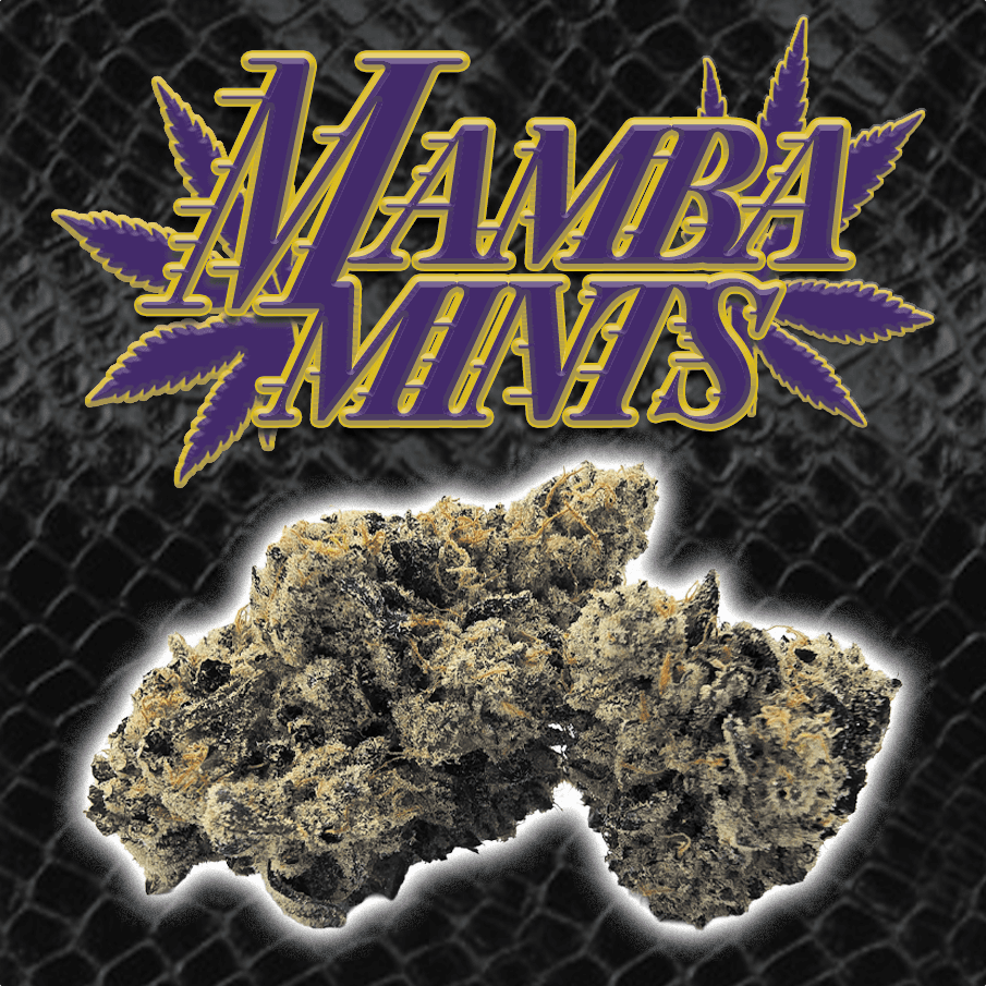 Green Dragon Flower 3.5g Indica Mamba Mints