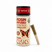 CLSICS Rosin Preroll 5pk .5g Sativa Mango Cult