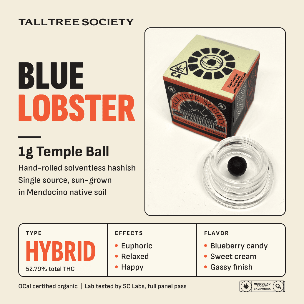 Tall Tree Society Temple Ball 1g Blue Lobster