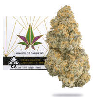 Humboldt Gardens Indoor Flower 3.5g Hybrid Jungle Juice