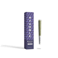 Timeless Tumble Preroll Rest 1g Watermelonz
