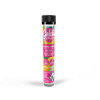 Gelato Lolli's Single Infused Preroll 1.2g Sativa Island Punch 12pk