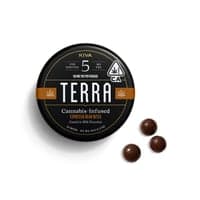 Terra Bites