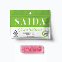 Saida Gummy Bar 100mg Hybrid Summer Watermelon