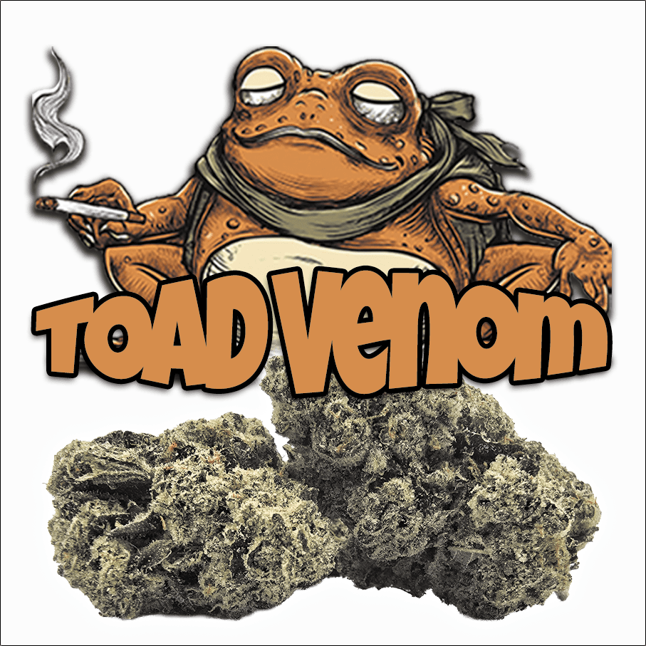 Green Dragon Flower 14g Hybrid Toad Venom