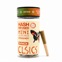 CLSICS Hash Preroll 10pk Sativa Citrus Riot