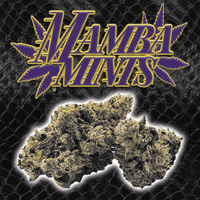 Green Dragon Flower 14g Indica Mamba Mints