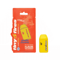 Tiny Fires AIO 1g Cart Hybrid Grease Monkey