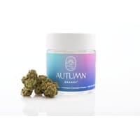 Autumn Brands Flower 3.5g Indica Smackers