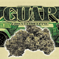 Green Dragon Flower 14g Hybrid Guap