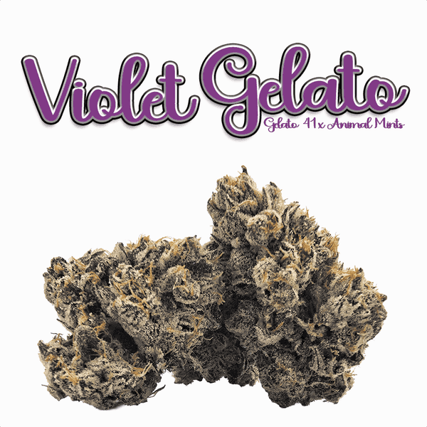 Green Dragon Flower 3.5g Hybrid Violet Gelato