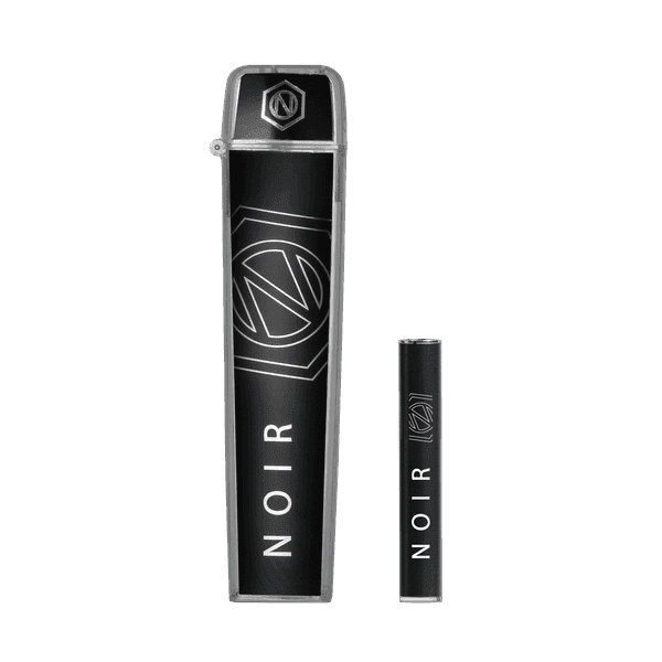 Timeless TV6 1g Battery and Flip Case Combo (Noir/Black)